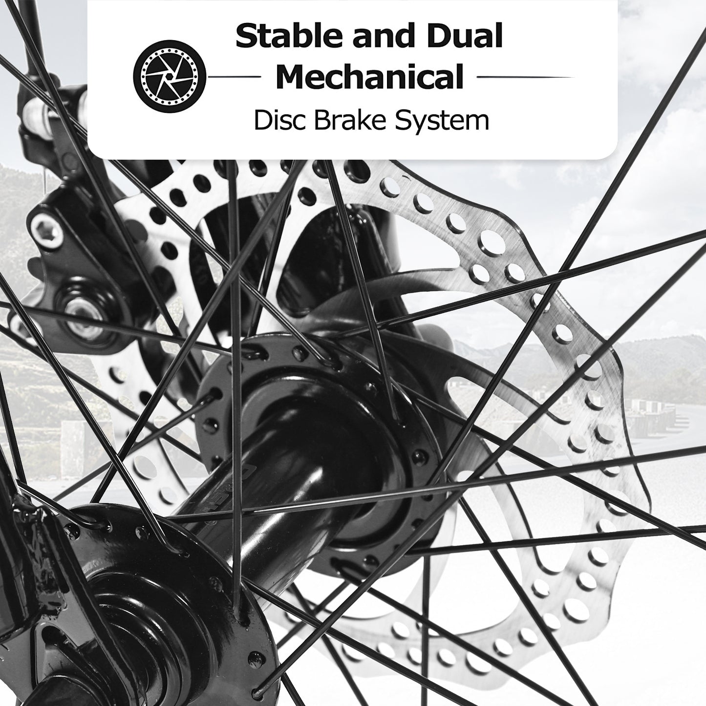 Bicycle S26109-BLACK-GREEN